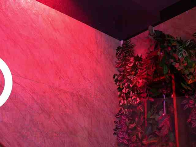 BellaNoirre BellaNoirre