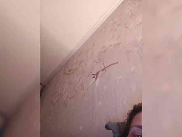 SashaZ1 webcam