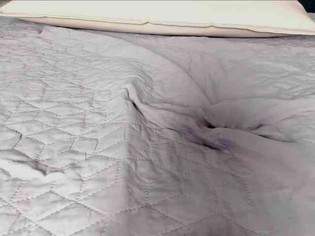 Scarlet-coleman webcam