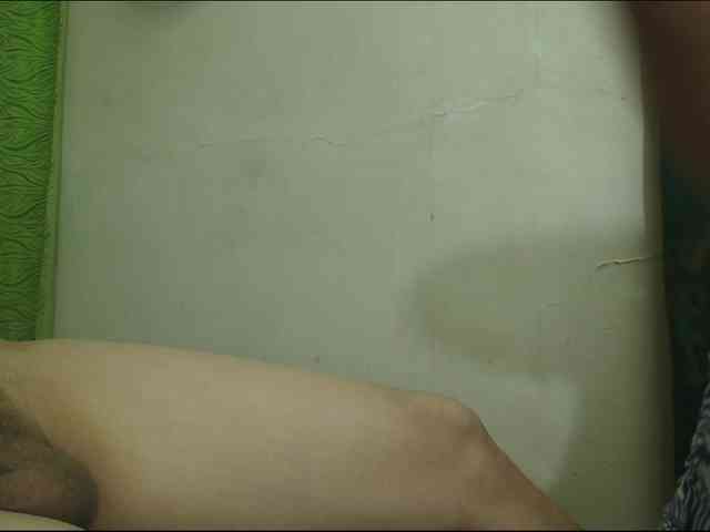 Jenner7Lion webcam