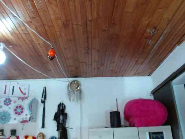 Karolcoott Karolcoott