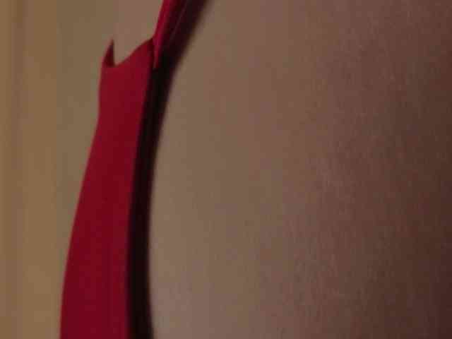BlushinBloom webcam