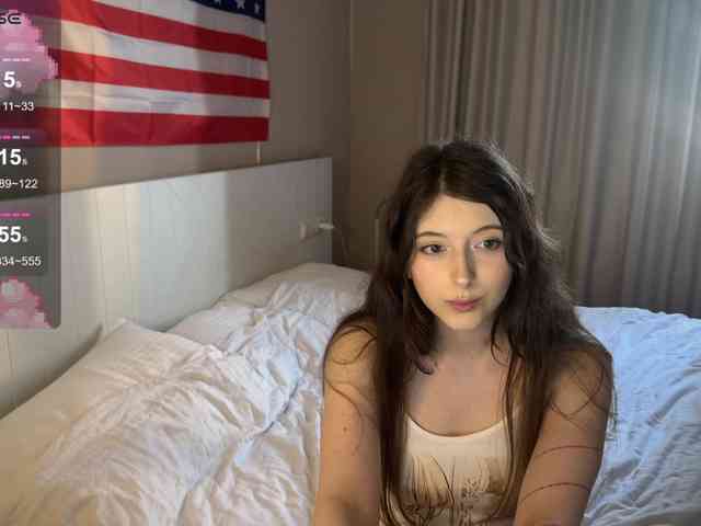Snow-Strippers webcam