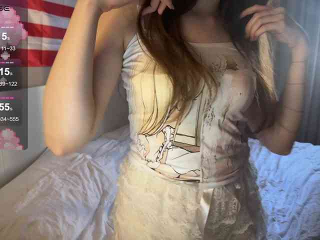 Snow-Strippers webcam