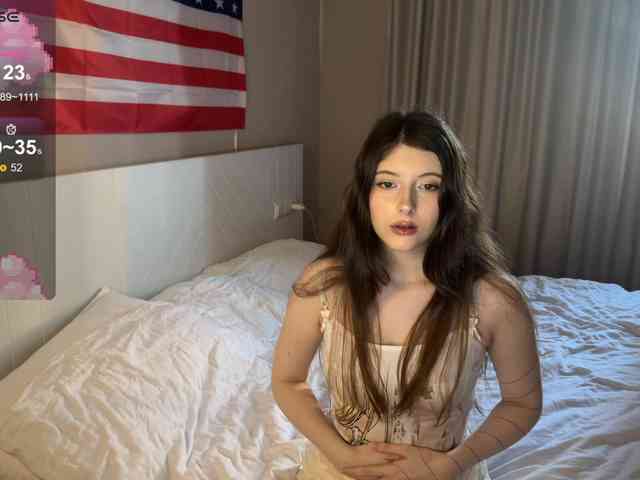 Snow-Strippers webcam