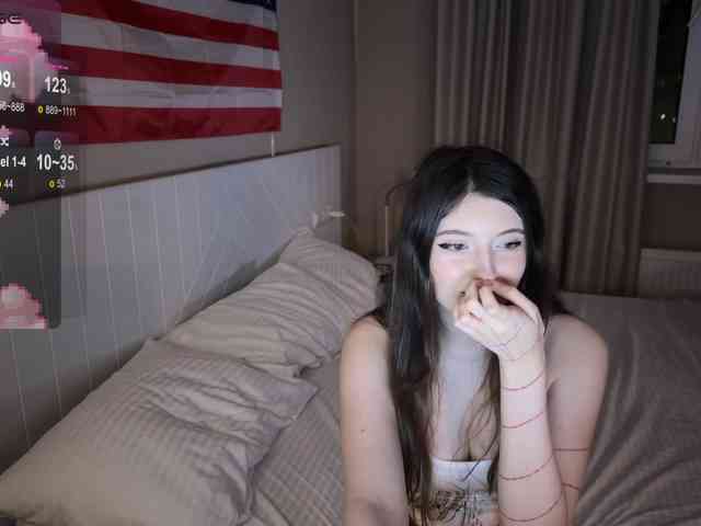 Snow-Strippers webcam