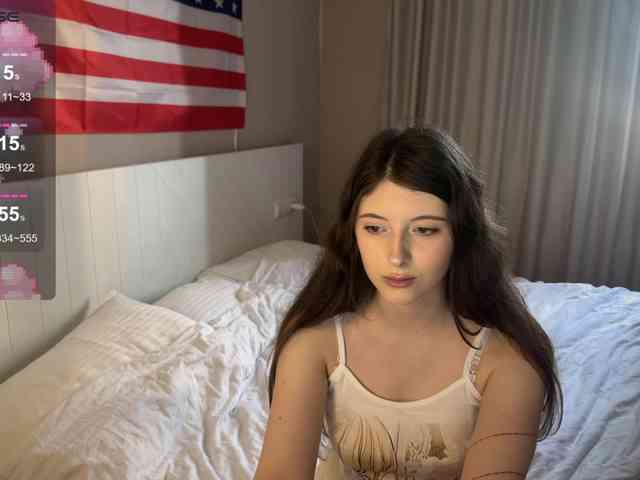 Snow-Strippers webcam