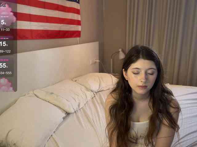 Snow-Strippers webcam