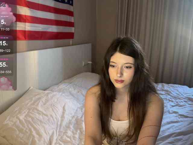 Snow-Strippers webcam
