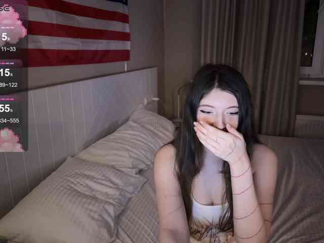Snow-Strippers webcam
