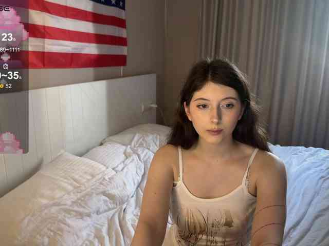 Snow-Strippers webcam