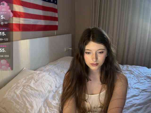 Snow-Strippers webcam