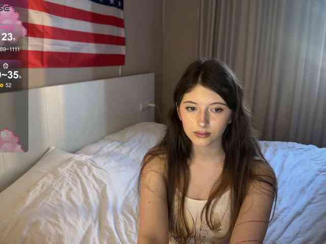 Snow-Strippers webcam