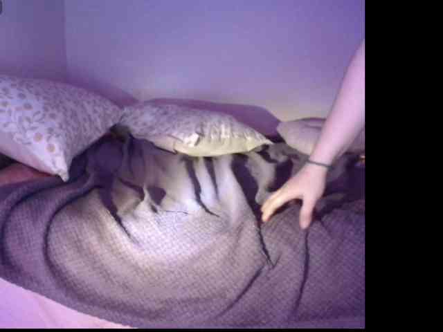 Savanna4009 webcam
