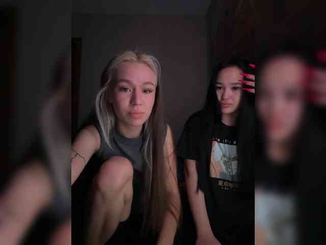 verdiiii webcam