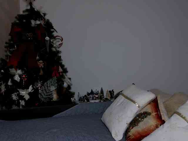 kayleehaze kayleehaze