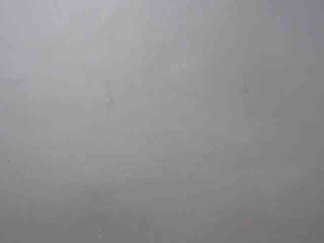 Petitepussy webcam