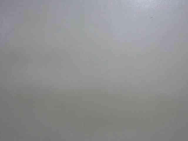 Petitepussy webcam
