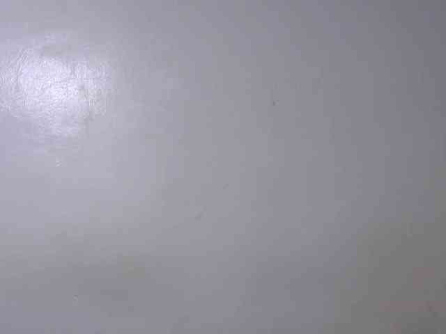 Petitepussy webcam