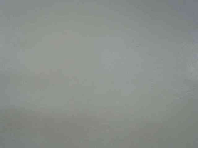 Petitepussy webcam