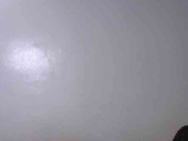 Petitepussy webcam