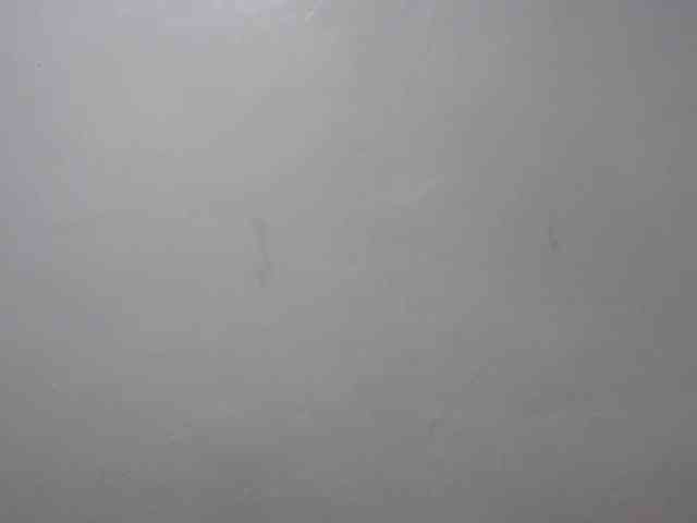 Petitepussy webcam