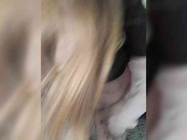 AlisaWyn webcam