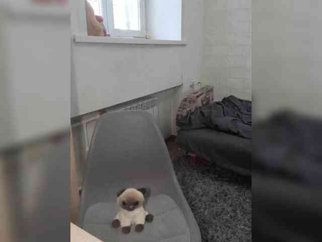 AlisaWyn webcam