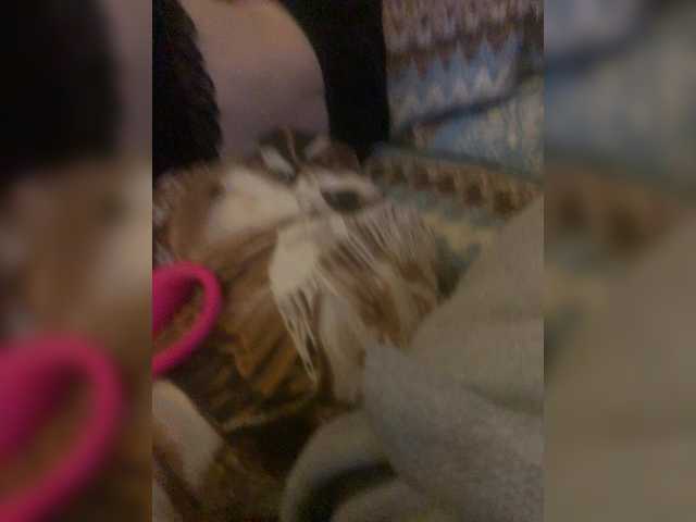 Devochka1010 from BongaCams