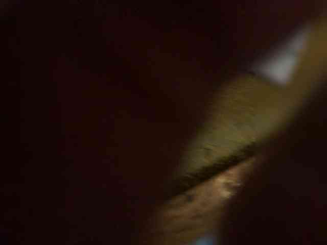 Devochka1010 webcam