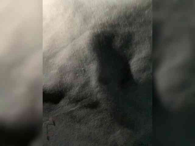 Devochka1010 Live Webcam on BongaCams