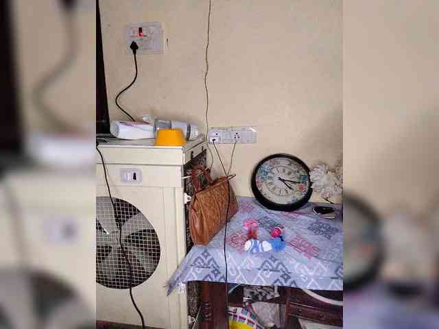 Sindhutelugu webcam