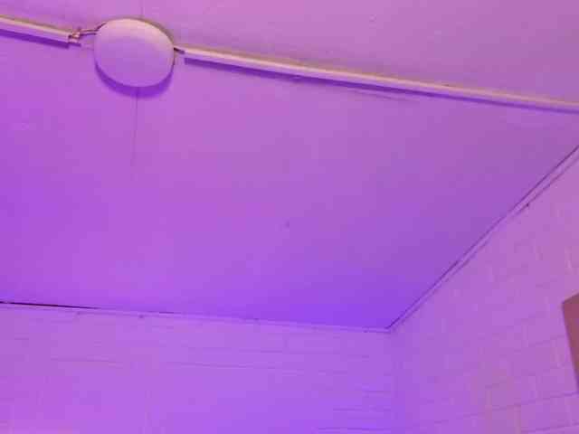 Artemiss-tay Artemiss-tay