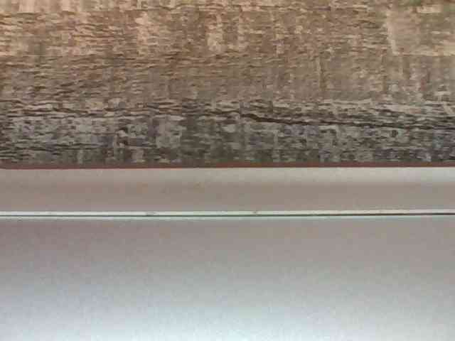 Horny-hearts Horny-hearts