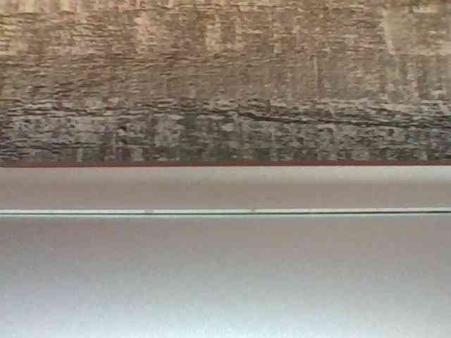 Horny-hearts Horny-hearts