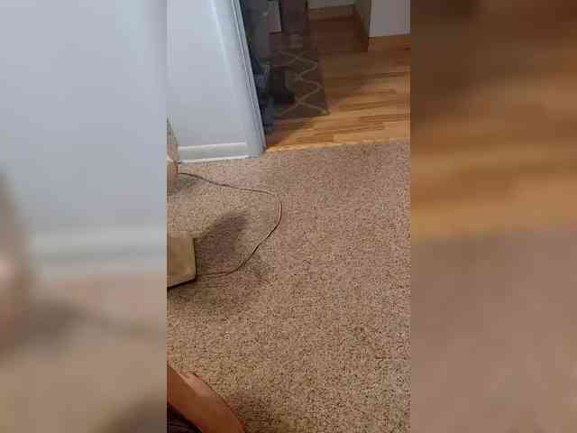 Spunfun23069 webcam