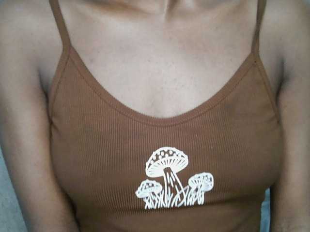 ticatee webcam