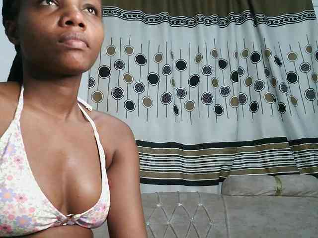ticatee webcam