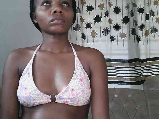 ticatee webcam