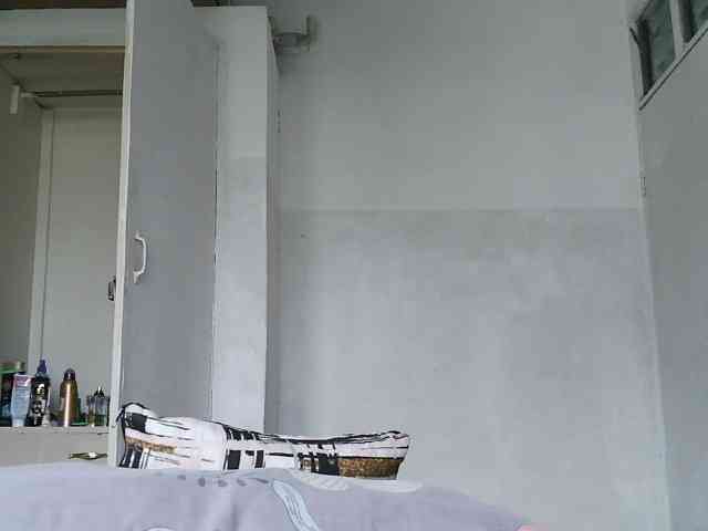 ticatee webcam