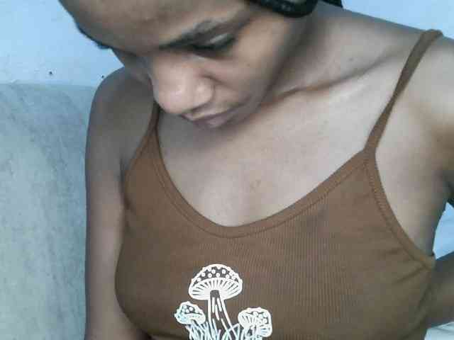 ticatee webcam