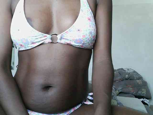 ticatee webcam