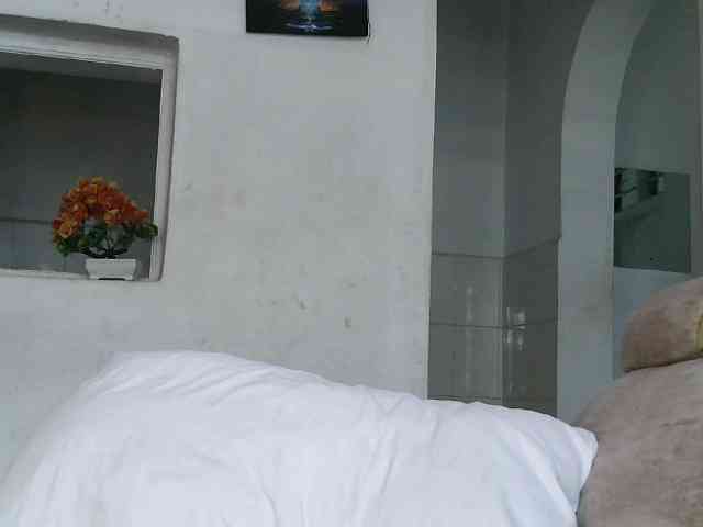 ticatee webcam