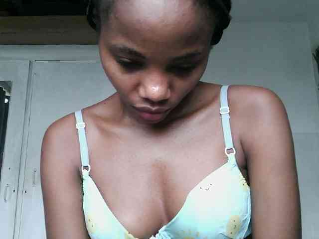 ticatee webcam