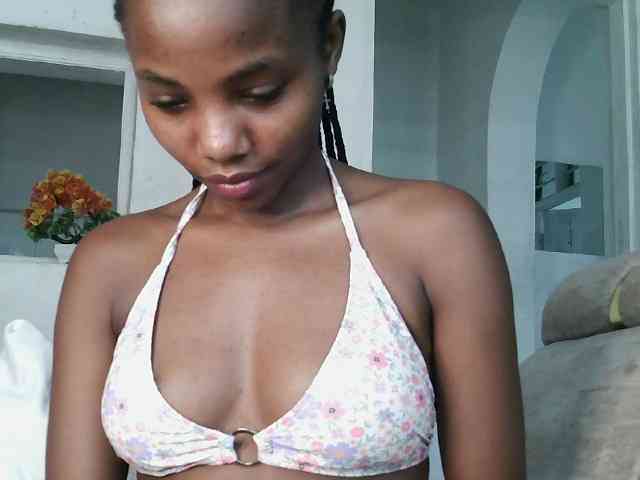 ticatee webcam