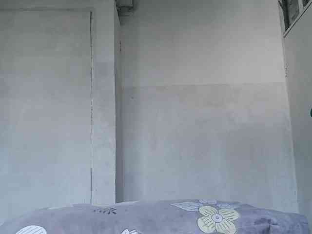 ticatee webcam