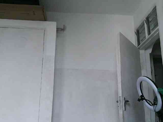 ticatee webcam