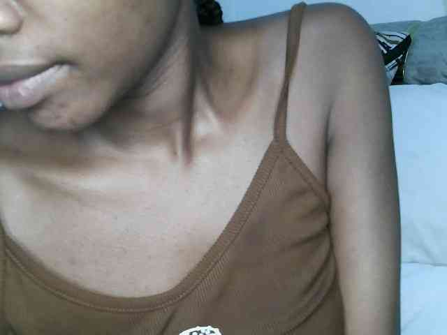 ticatee webcam