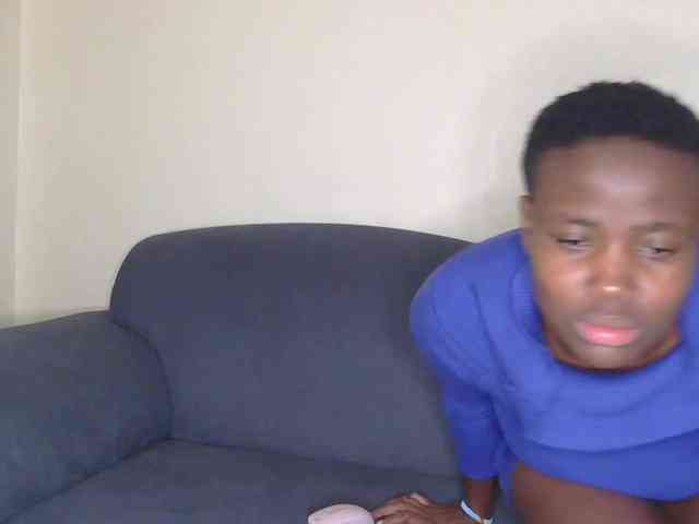 webcam live HONEY-BUN
