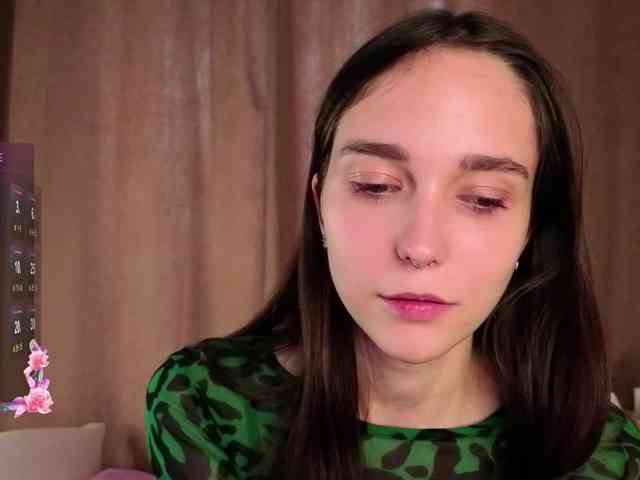 SoftieDream webcam
